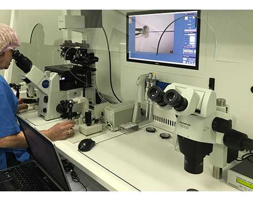 大连试管婴儿费用解析及医院选择指南，助您轻松孕育健康宝宝