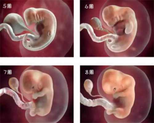 成都最大的代孕网:如何用排卵试纸自测排卵期？